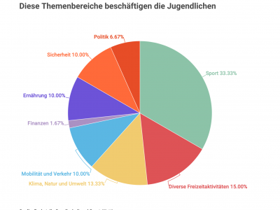 Infografik eingereichte Anliegen Wettingen