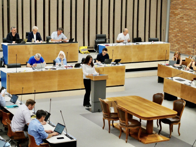 Präsentation des Jugendvorstosses im Gemeinderat 2025